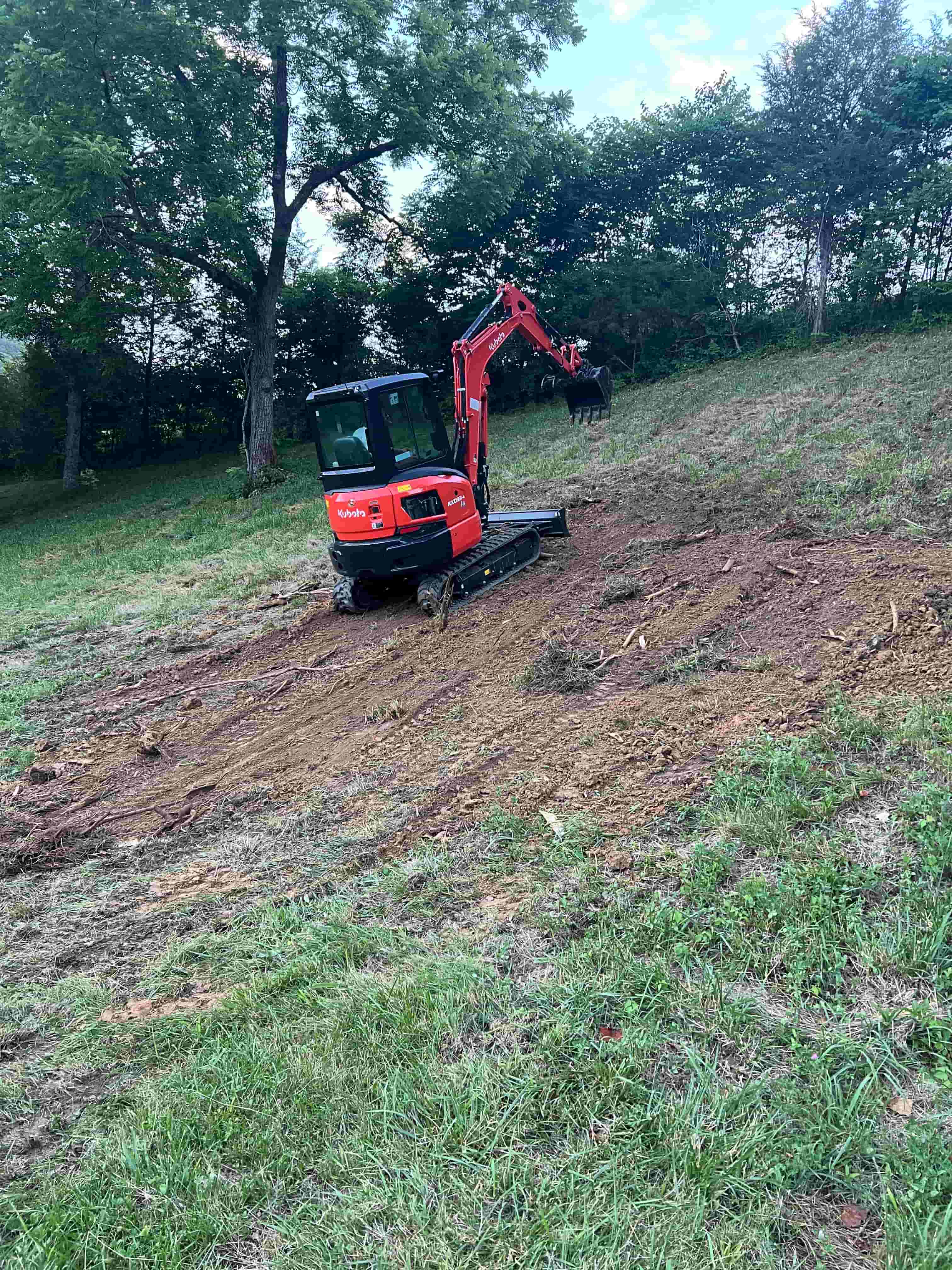 Stump removal service for a residential property