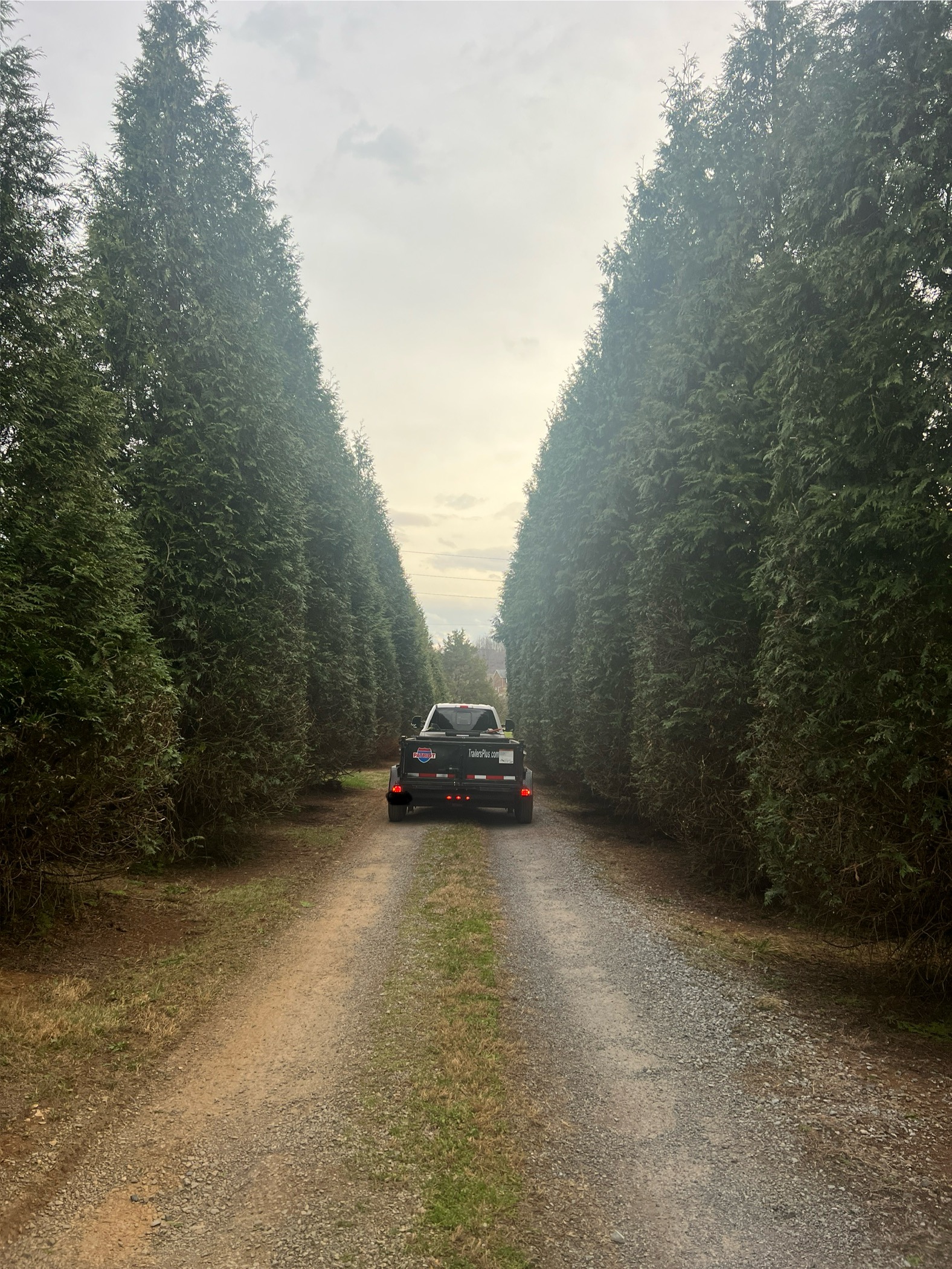 Land clearing and brush management by ECR Excavating